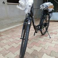 Bicicletta elettrica