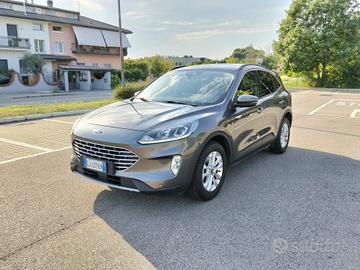 Ford Kuga 1.5 EcoBlue 120 CV aut. 2WD Titanium Bus