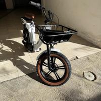 Nilor Fat Cargo Ebike