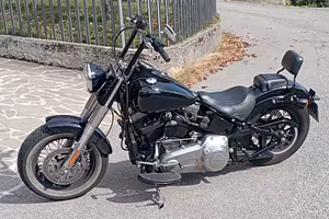softail slim 