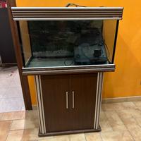 acquario Wave 100lt
