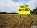 terreno-agricolo-a-spinea