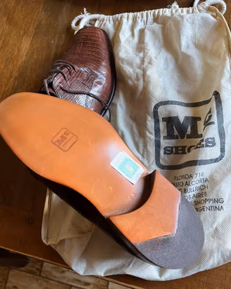 Scarpe nuove di lucertola