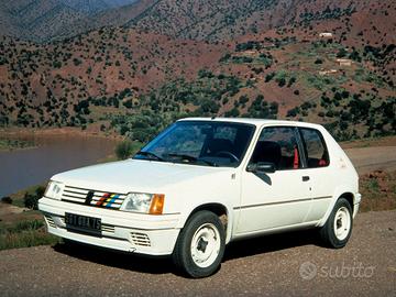 Motore+Cambio Peugeot 205 Rallye 1.3 ( 30.000km)