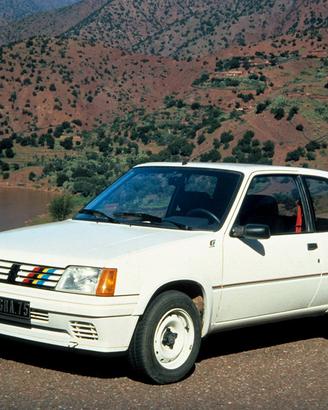 Motore+Cambio Peugeot 205 Rallye 1.3 ( 30.000km)