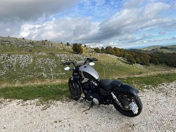 Harley davison street bob 1200 custom