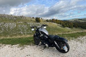 Harley davison street bob 1200 custom