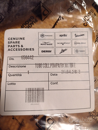 Ricambi Piaggio Tubo Pompa/radiatore 656442