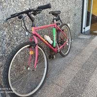 mtb marca specialized buono 