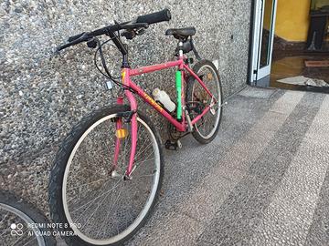 mtb marca specialized buono 