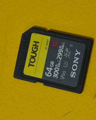 Scheda SD Sony TOUGH 64GB – 300MB/299MB