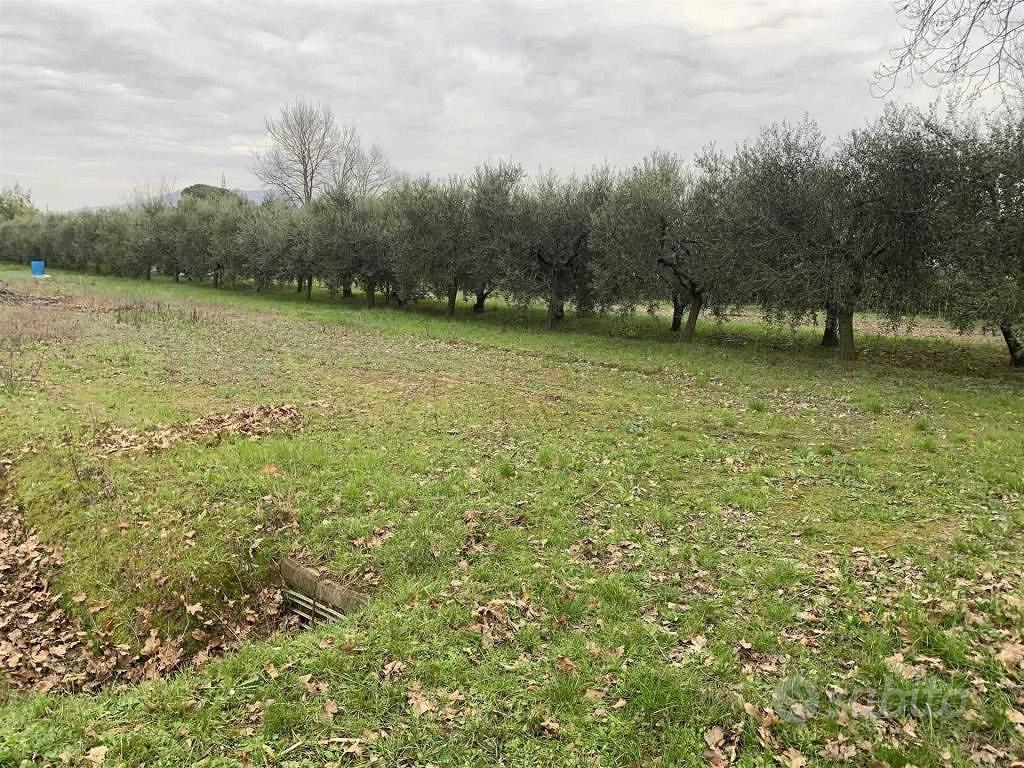 Terreno di 3300 m² a Campi Bisenzio - Vista 3