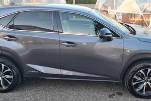 LEXUS NX300 HYBRID F-SPORT TETTOPANORAMICO PERMUTE