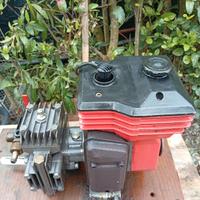 Motopompa per trattamenti fitosanitari