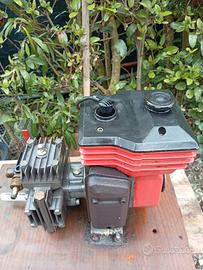 Motopompa per trattamenti fitosanitari