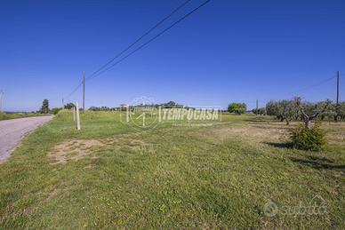 Terreno agricolo a Morrovalle 5 locali