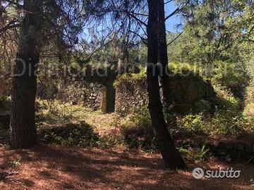 Terreno 20.000mq con fabbricato a Piedimonte Etneo