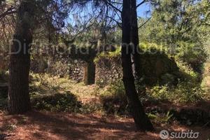 Terreno 20.000mq con fabbricato a Piedimonte Etneo