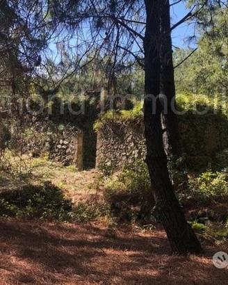 Terreno 20.000mq con fabbricato a Piedimonte Etneo
