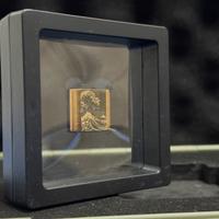 "NUOVO" - Copri slitta giapponese in metallo