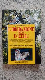 L'ibridazione degli uccelli 