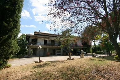 VL1 - Torrita di Siena villa di 449 mq