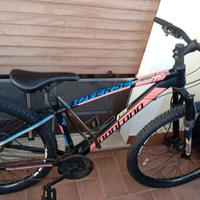 Bicicletta mtb montana adversa