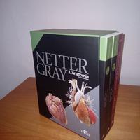 Libri Anatomia NETTER GRAY 4°ED.