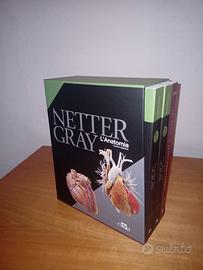 Libri Anatomia NETTER GRAY 4°ED.