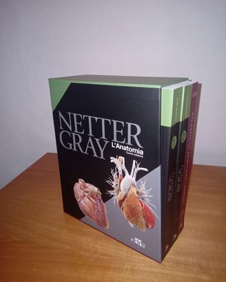 Libri Anatomia NETTER GRAY 4°ED.