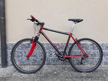 Bicicletta mountain bike