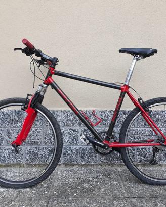 Bicicletta mountain bike