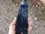 Immagine 4