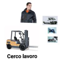 carrellista operaio anche part time autista local