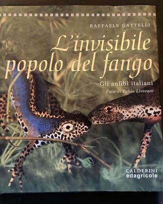 L’INVISIBILE POPOLO DEL FANGO  Gli anfibi italiani