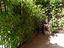 Immagine 23