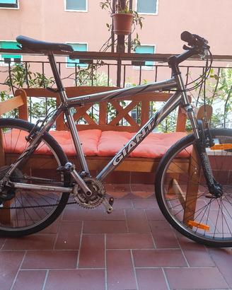 Mountain bike giant