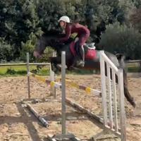 Straordinario pony da salto