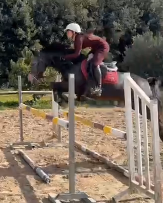 Straordinario pony da salto