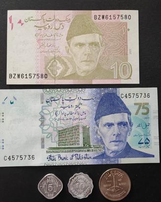 Lotto collezione banconote e monete Pakistan 
