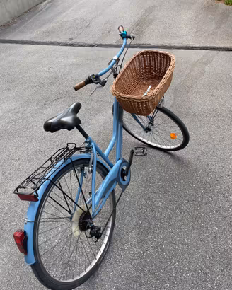 Bici olandesina