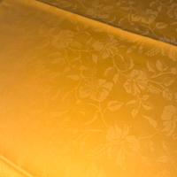 Coprimacchia 100x100