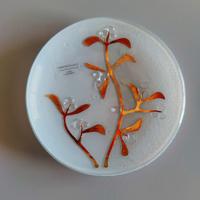 Piattino in vetro di Muramo