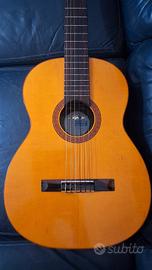 Chitarra Di Giorgio classico 28 Brasil 1975