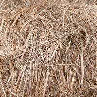 balloni prato naturale 