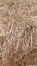 balloni prato naturale 