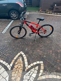Bicicletta Mountain bike