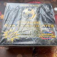 Football champions Box wizards 2004-2005
