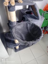 per gatti tira graffi 