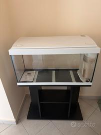 Acquario + mobiletto